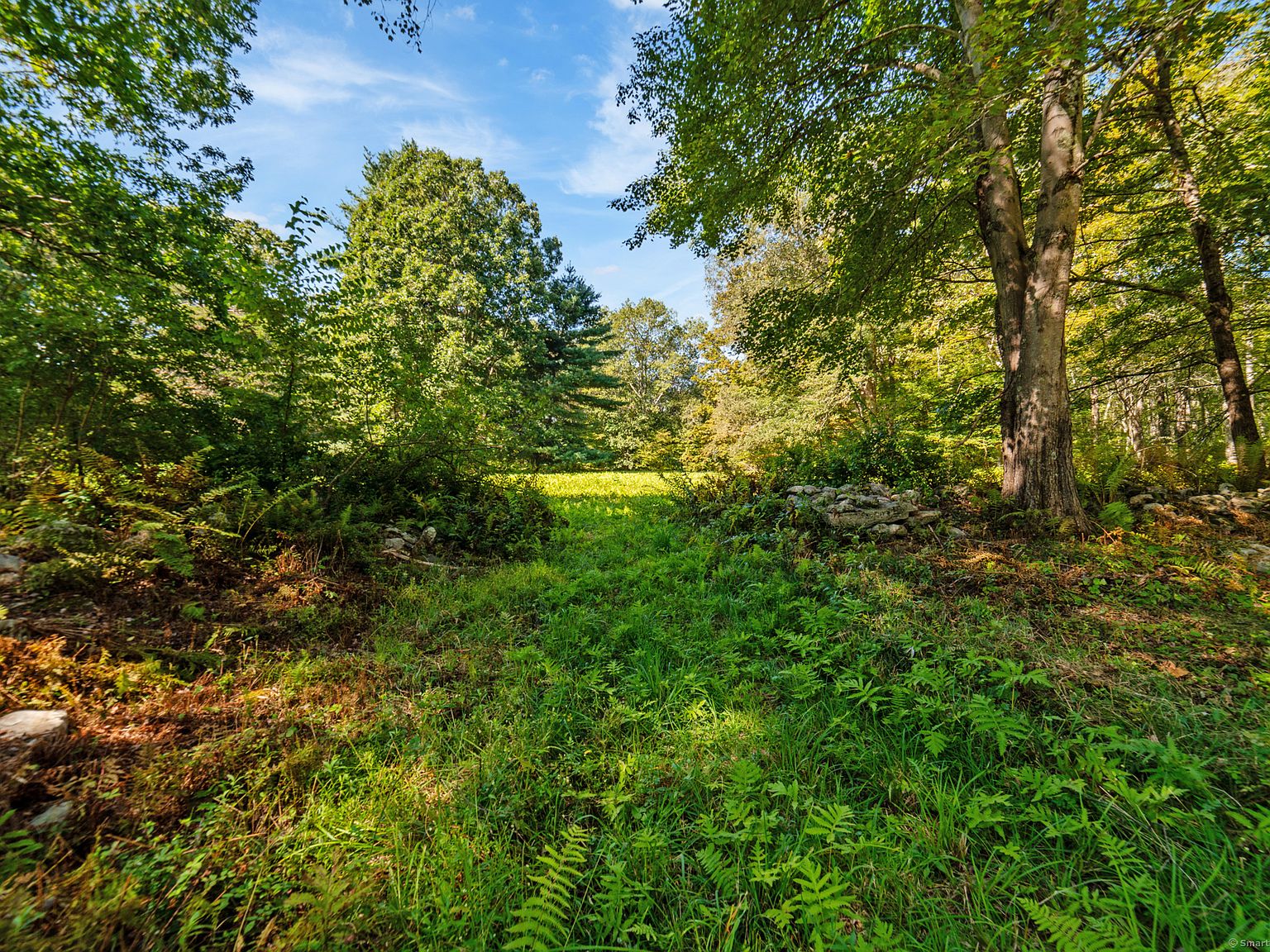 Slideshow image
